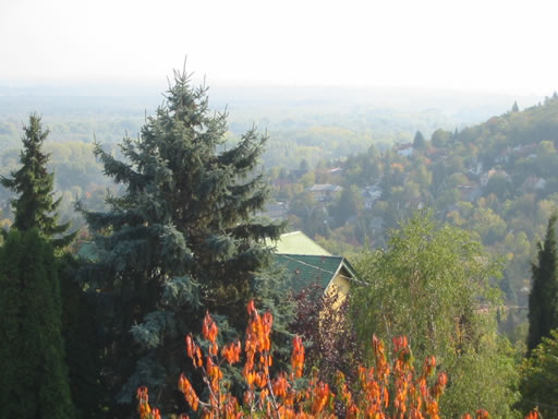 Szentendre - Törölt - Ikerház