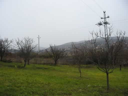 Szentendre - Törölt - Telek