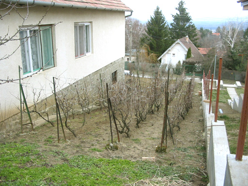 Le�nyfalu - T�r�lt - Csal�dih�z
