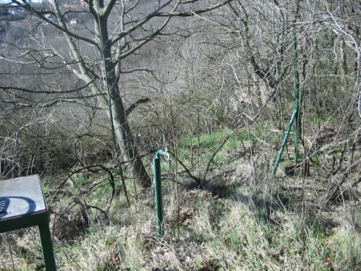 Szentendre - Törölt - Telek