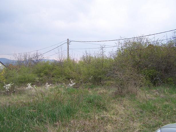 Szentendre - Eladott/Kiadott - Üdülőöv. telek