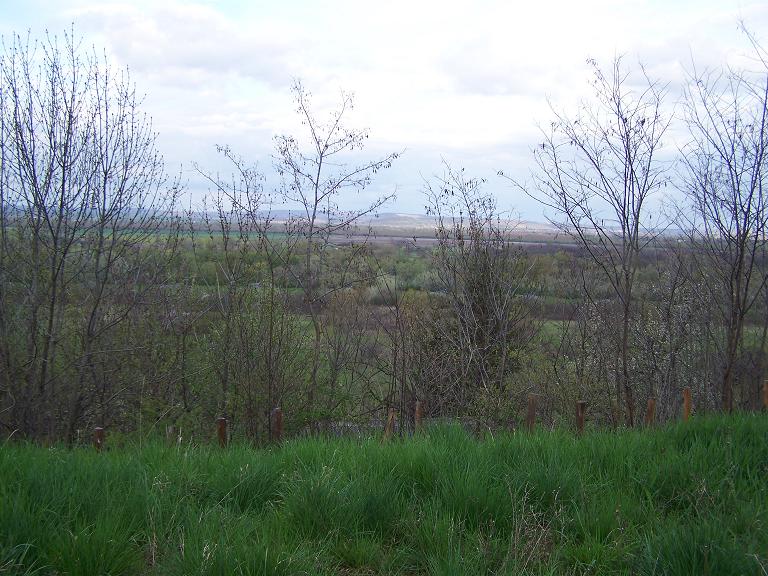 Leányfalu - Törölt - Telek