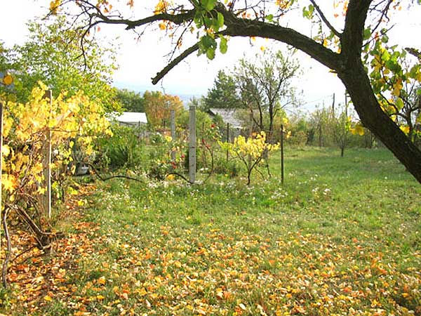 Szentendre - Eladott/Kiadott - Üdülőöv. telek