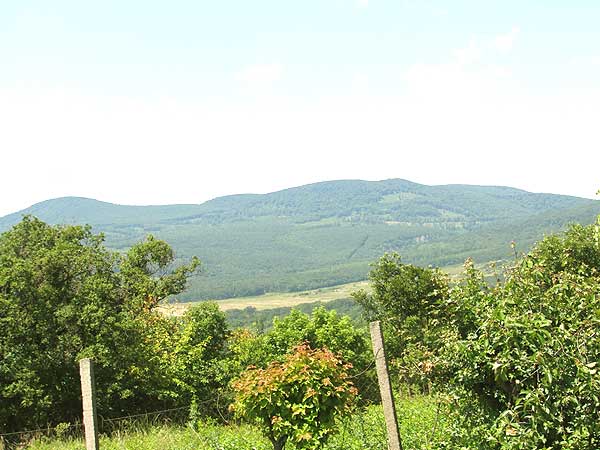 Szentendre - Eladott/Kiadott - Üdülőöv. telek