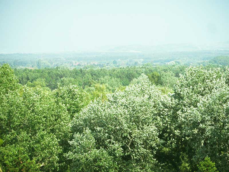 Szentendre - Felfüggesztve - Családiház
