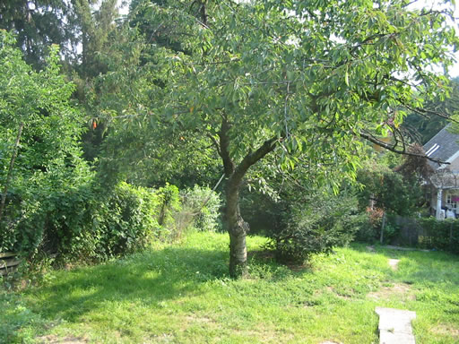 Szentendre - Felfüggesztve - Lakóöv. telek