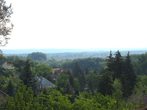Szentendre - Felfüggesztve - Lakóöv. telek