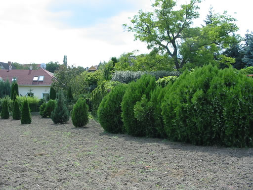 Szentendre - Eladott/Kiadott - Lakóöv. telek