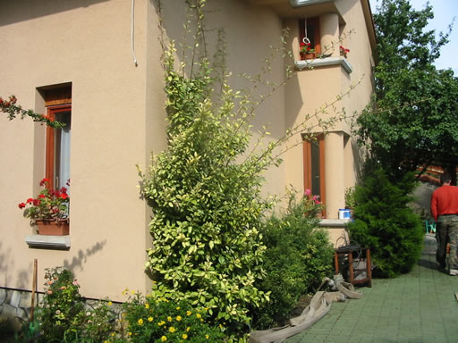 Szentendre - Törölt - Családiház