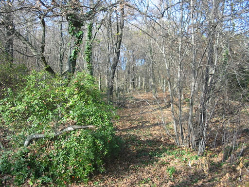 Leányfalu - Felfüggesztve - Üdülő