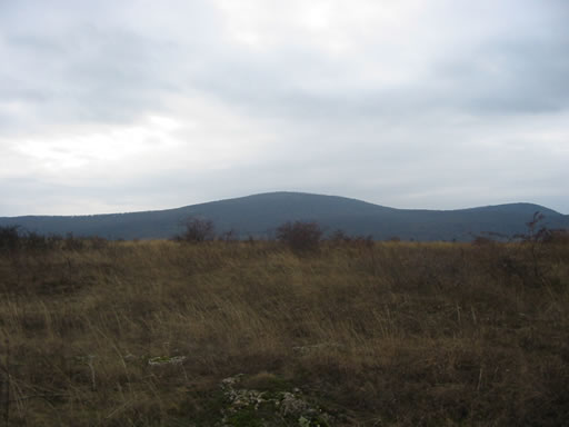 Pomáz - Törölt - Egyéb mezőgazd.
