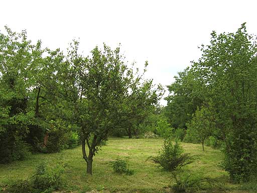 Leányfalu - Eladott/Kiadott - Lakóöv. telek