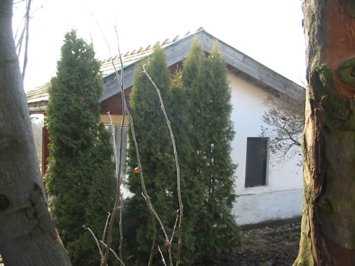 Szentendre - Törölt - Üdülőöv. telek