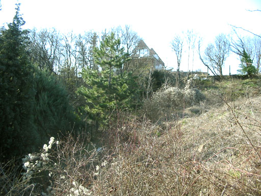 Szentendre - Törölt - Telek