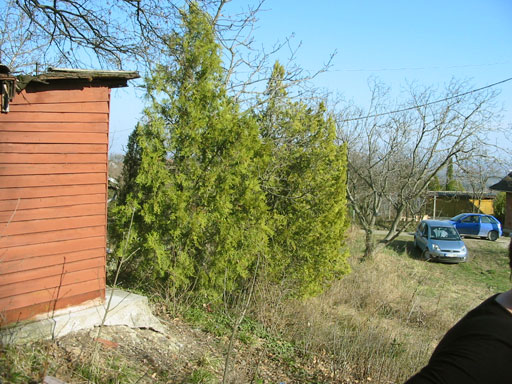 Szentendre - Törölt - Telek