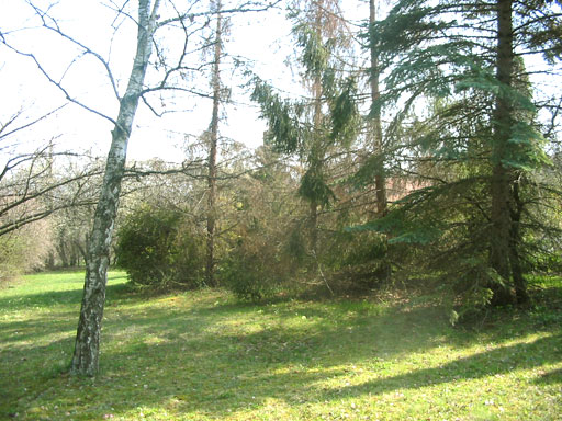 Szentendre - Eladott/Kiadott - Telek