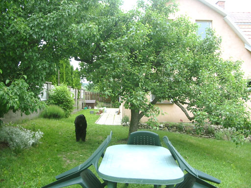 Szentendre - Törölt - Családiház