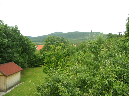 Szentendre - Törölt - Családiház