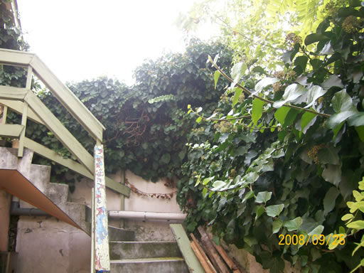 Szentendre - Eladott/Kiadott - Kereskedelmi