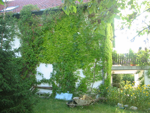 Szentendre - Törölt - Családiház