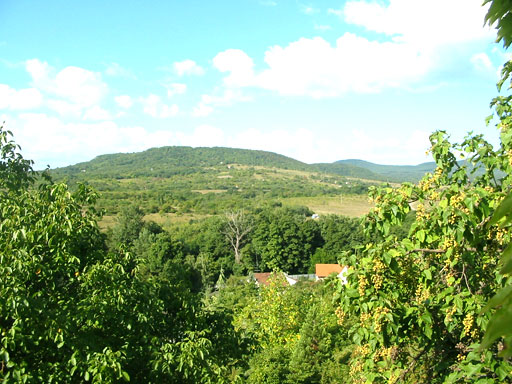 Szentendre - Törölt - Családiház