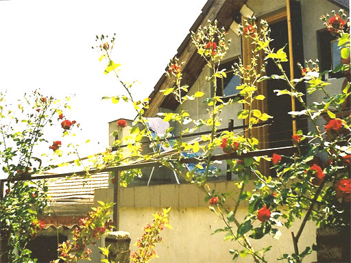 Harkány - Eladott/Kiadott - Üdülő