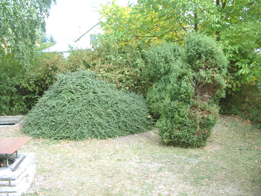 Szentendre - Törölt - Házrész