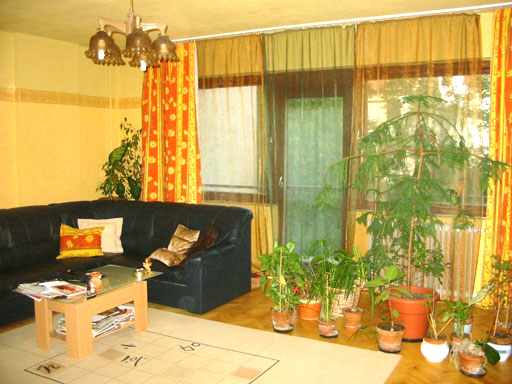 Dunabogdány - Eladott/Kiadott - Sorház