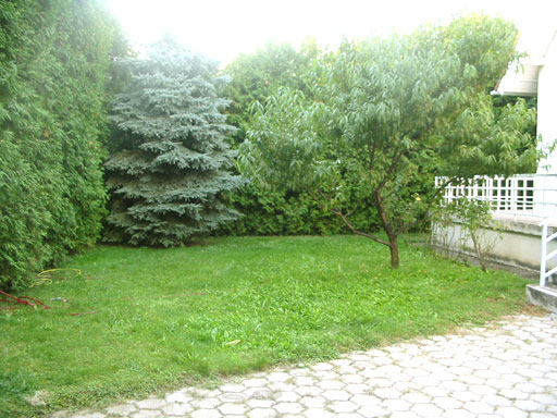 Budapest - Felfüggesztve - Családiház