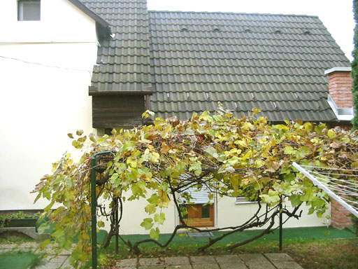 Szentendre - Eladott/Kiadott - Családiház