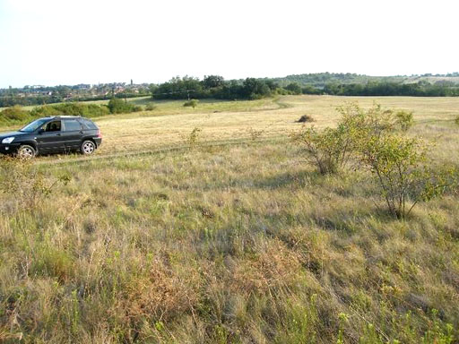 Szentendre - Felfüggesztve - Lakóöv. telek