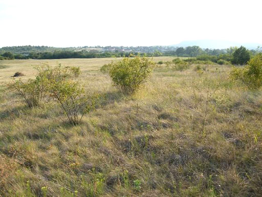 Szentendre - Felfüggesztve - Lakóöv. telek