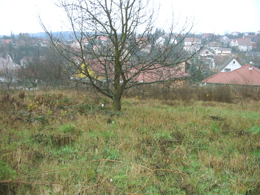 Budakalász - Eladott/Kiadott - Lakóöv. telek