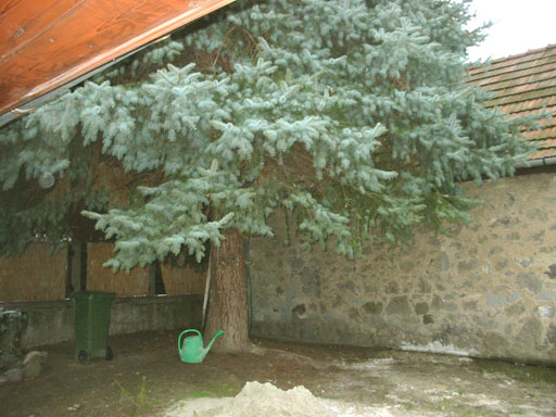 Szentendre - Eladott/Kiadott - Családiház