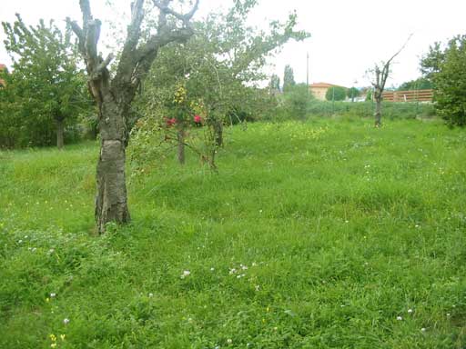 Szentendre - Elad� - �d�l��v. telek