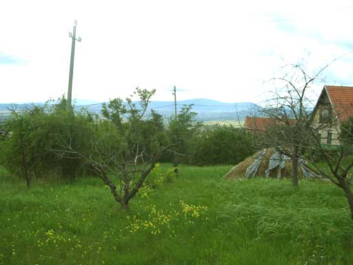 Szentendre - Törölt - Üdülőöv. telek