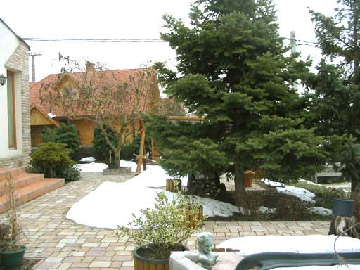 Szentendre - Eladott/Kiadott - Családiház