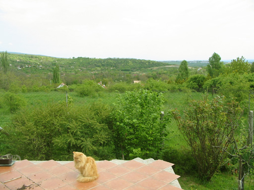 Pomáz - Törölt - Családiház