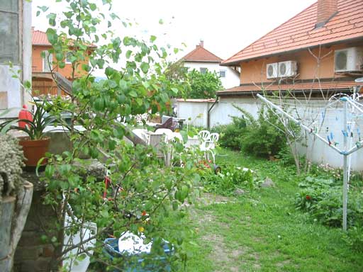 Szentendre - Felfüggesztve - Családiház