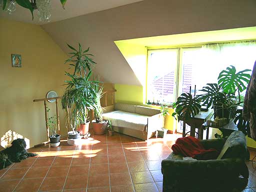 Szentendre - Felfüggesztve - Családiház