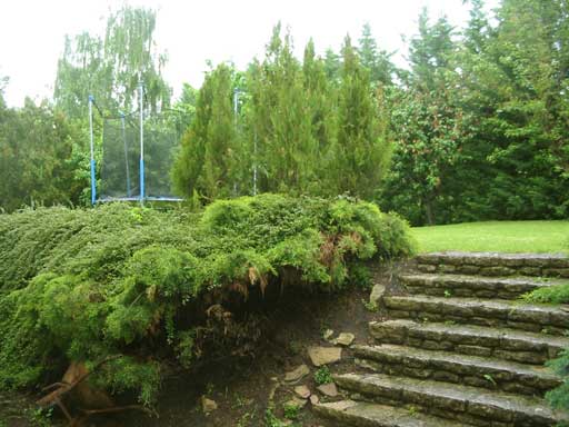 Szentendre - Eladott/Kiadott - Családiház