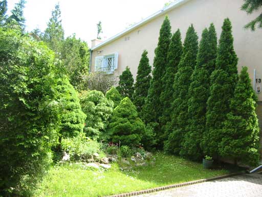 Szentendre - Törölt - Családiház