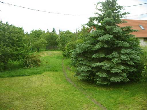 Szentendre - Törölt - Családiház