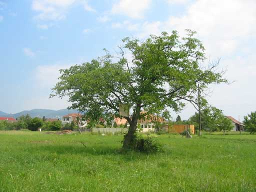 Szentendre - Törölt - Lakóöv. telek