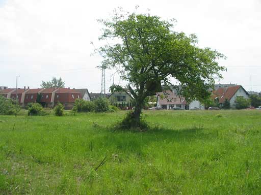 Szentendre - Törölt - Lakóöv. telek