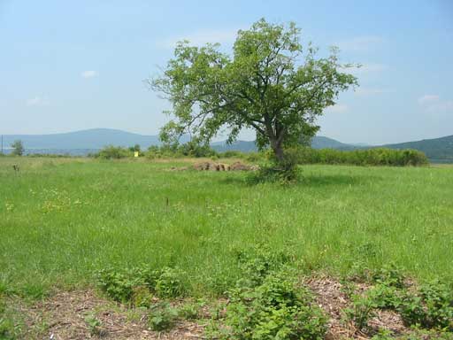 Szentendre - Törölt - Lakóöv. telek