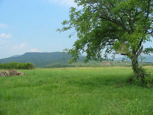 Szentendre - Törölt - Lakóöv. telek