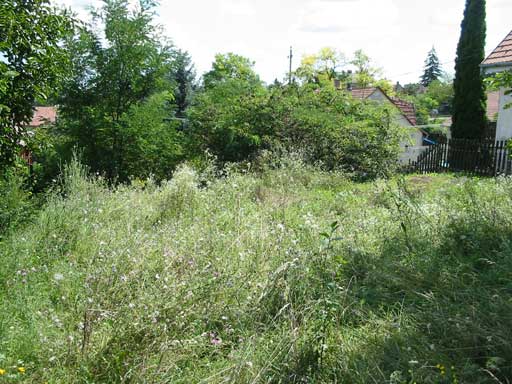 Budakal�sz - Elad� - Lak��v. telek