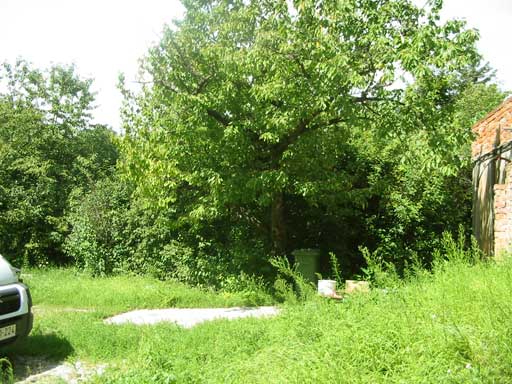 Szentendre - Törölt - Ikerház