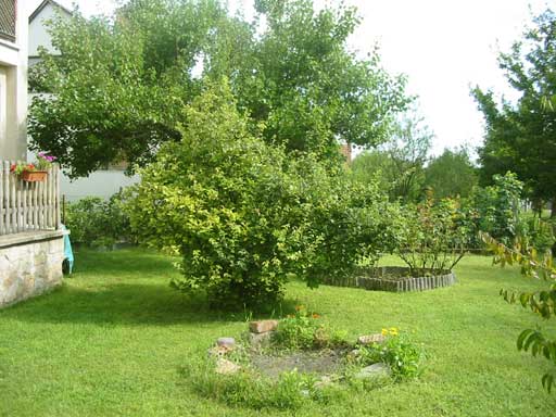Szentendre - Eladott/Kiadott - Családiház